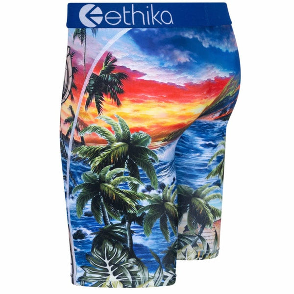 Ethika Bomber Island Underwear