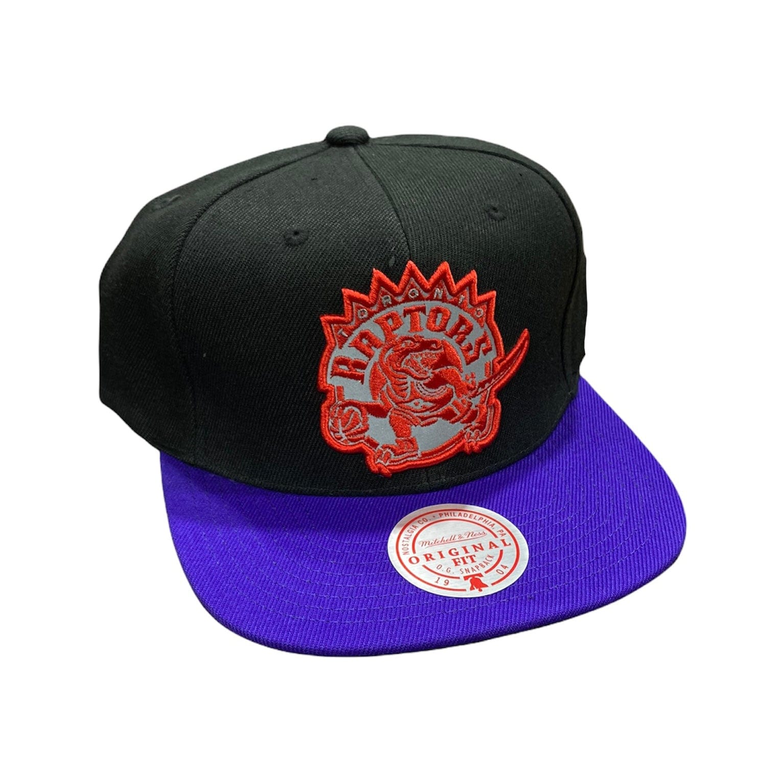 Mitchell & Ness Nba Hwc Toronto Raptors Reflective Snapback (Black/Purple)