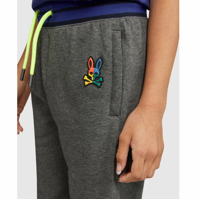 Kids Psycho Bunny Warwick Color Block Logo Pants (Heather Storm)