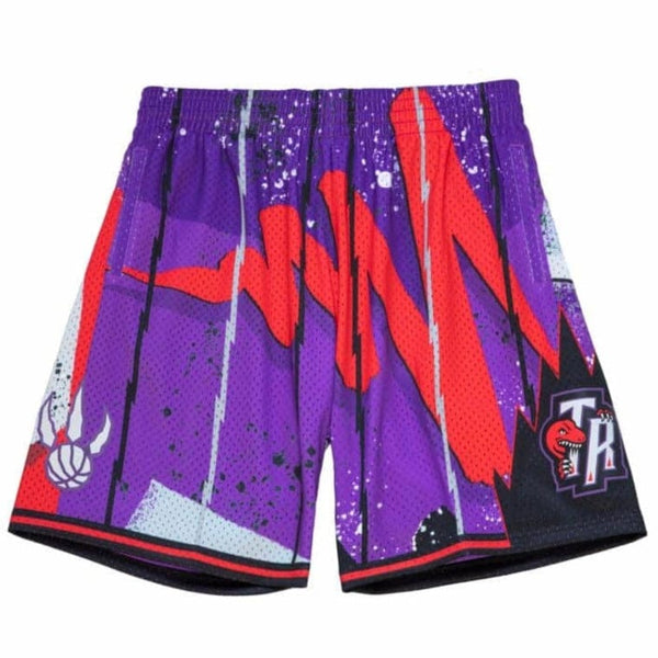 Mitchell & Ness Hyper Hoops Swingman Toronto Raptors Shorts (Purple)
