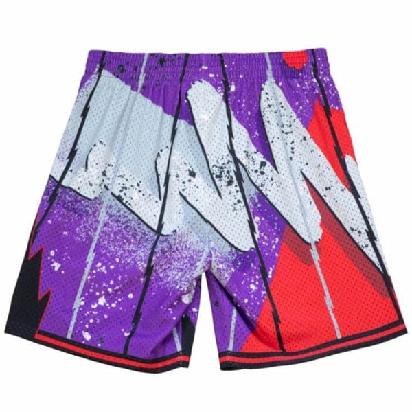 Mitchell & Ness Hyper Hoops Swingman Toronto Raptors Shorts (Purple)