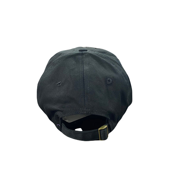 Runtz Tones Hat (Black) 321-63113