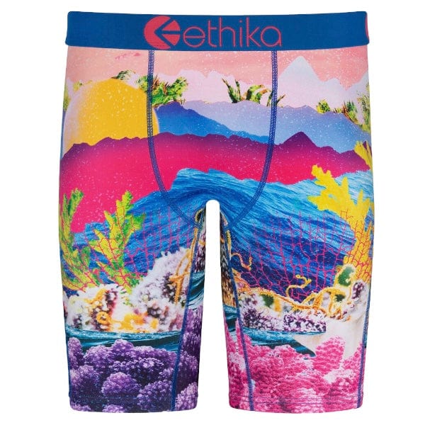 Ethika Sea Lettuce Underwear - MLUS2156