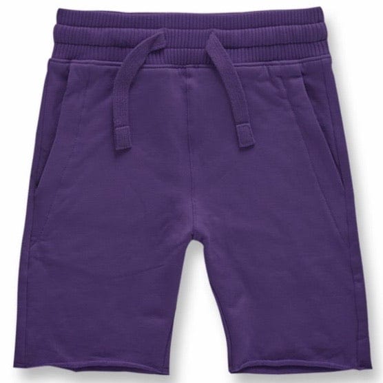 Kids Jordan Craig Palma French Terry Shorts (Purple) 8350SAK