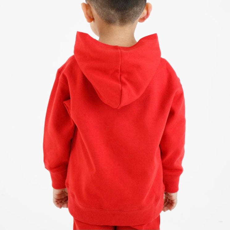 Kids Billionaire Boys Club BB Script Hoodie (Goji Berry) 823-1300