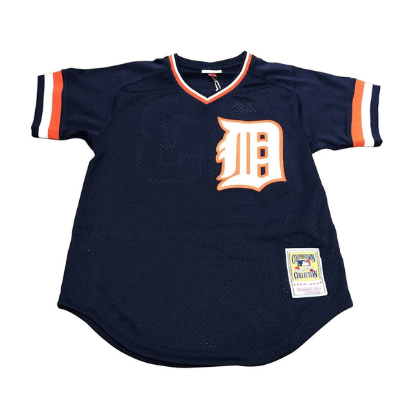 MITCHELL AND NESS JERSEY 5621AGIBSON