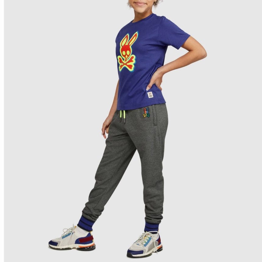 Kids Psycho Bunny Warwick Color Block Logo Pants (Heather Storm)