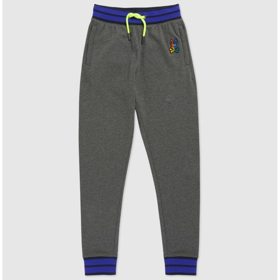 Kids Psycho Bunny Warwick Color Block Logo Pants (Heather Storm)