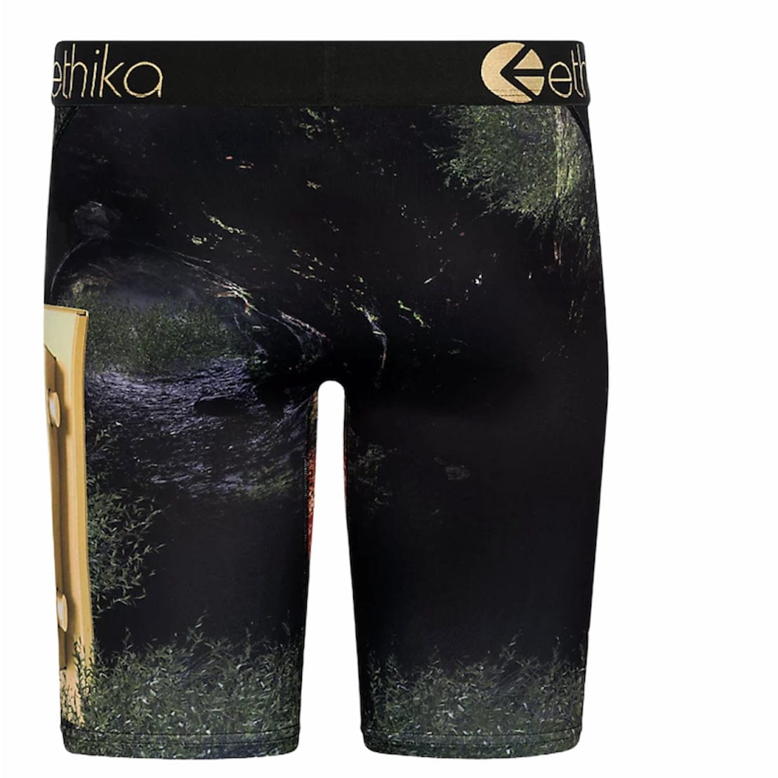 Ethika Lions Den Underwear